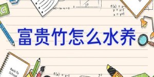 富贵竹怎么水养