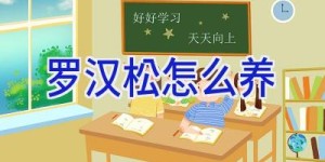 罗汉松怎么养