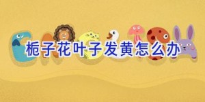 栀子花叶子发黄怎么办