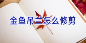 金鱼吊兰怎么修剪