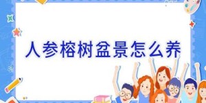 人参榕树盆景怎么养