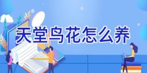 天堂鸟花怎么养