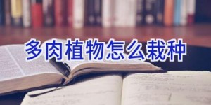 多肉植物怎么栽种