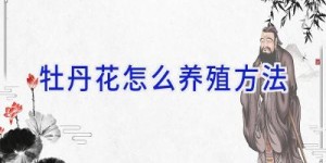 牡丹花怎么养殖方法