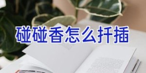 碰碰香怎么扦插