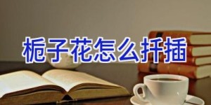 栀子花怎么扦插