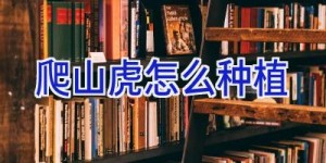 爬山虎怎么种植