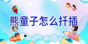 熊童子怎么扦插