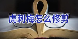 虎刺梅怎么修剪