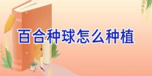 百合种球怎么种植