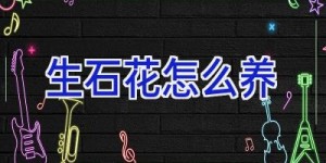 生石花怎么养