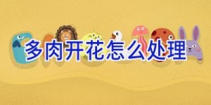 多肉开花怎么处理