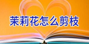 茉莉花怎么剪枝