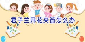 君子兰开花夹箭怎么办