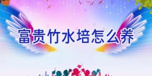 富贵竹水培怎么养