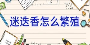 迷迭香怎么繁殖