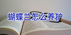 蝴蝶兰怎么养护