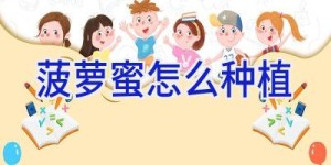 菠萝蜜怎么种植