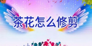 茶花怎么修剪