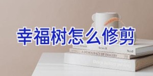 幸福树怎么修剪