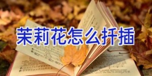 茉莉花怎么扦插