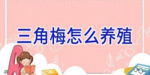 三角梅怎么养殖