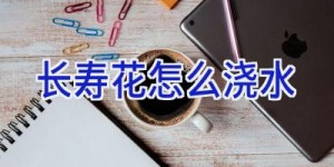 长寿花怎么浇水