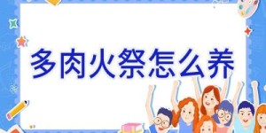 多肉火祭怎么养