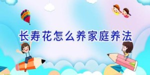 长寿花怎么养家庭养法