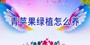 青苹果绿植怎么养