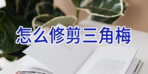 怎么修剪三角梅