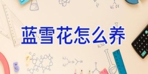蓝雪花怎么养