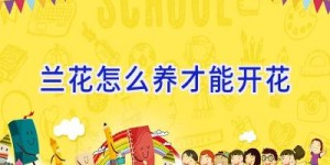 兰花怎么养才能开花