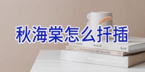 秋海棠怎么扦插