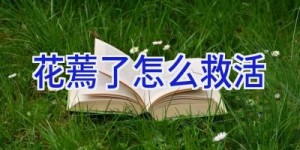 花蔫了怎么救活