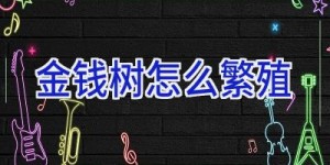 金钱树怎么繁殖