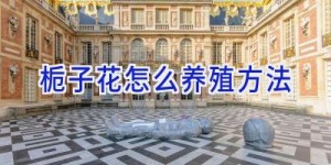 栀子花怎么养殖方法