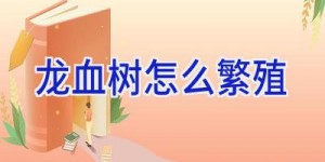 龙血树怎么繁殖