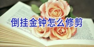 倒挂金钟怎么修剪