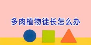 多肉植物徒长怎么办