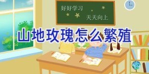 山地玫瑰怎么繁殖