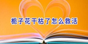 栀子花干枯了怎么救活