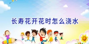 长寿花开花时怎么浇水