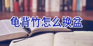 龟背竹怎么换盆