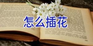 怎么插花
