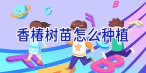 香椿树苗怎么种植