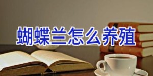 蝴蝶兰怎么养殖