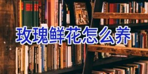 玫瑰鲜花怎么养