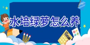 水培绿萝怎么养