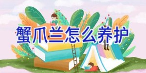 蟹爪兰怎么养护